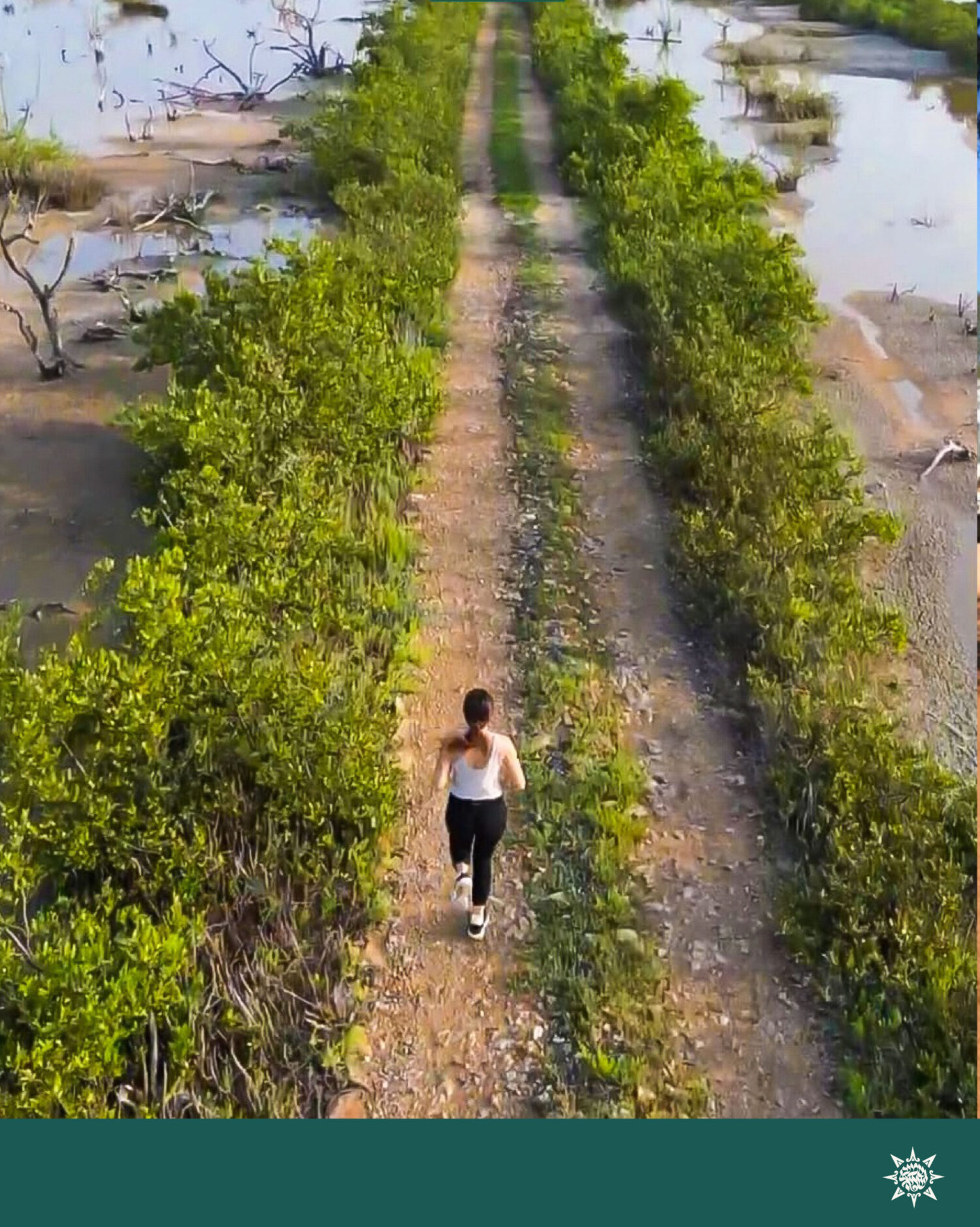 CERTIDUMBRE JURIDICA AX_Mesa de trabajo 1-11